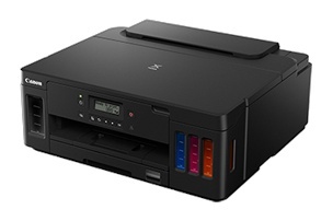 Impresora canon pixma g5010 tinta continua (3112c004aa)