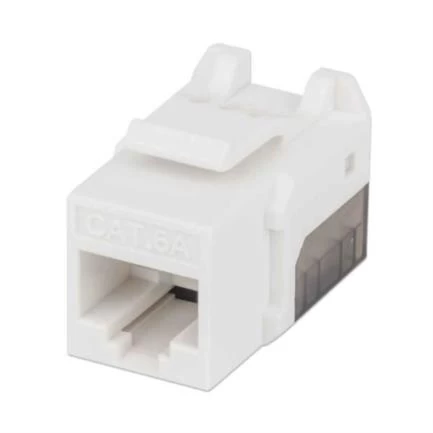 Jack Keystone Intellinet Cat 6A, Blanco con Negro, 772358