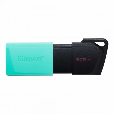 Memoria usb  kingston technology dtxm/256gb