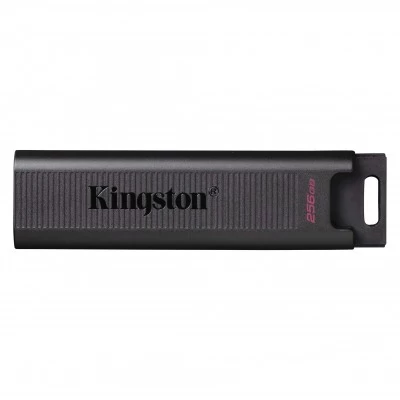 Memoria usb kingston technology dtmax/256gb