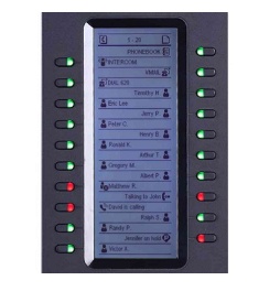 Grandstream Módulo de Expansión GXP2200EXT con 20 Teclas, Negro