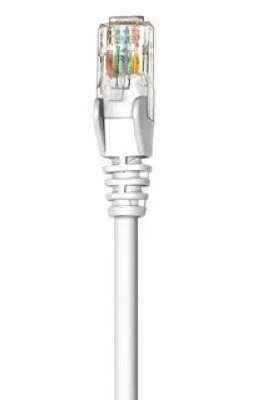Cable de red intellinet 341936
