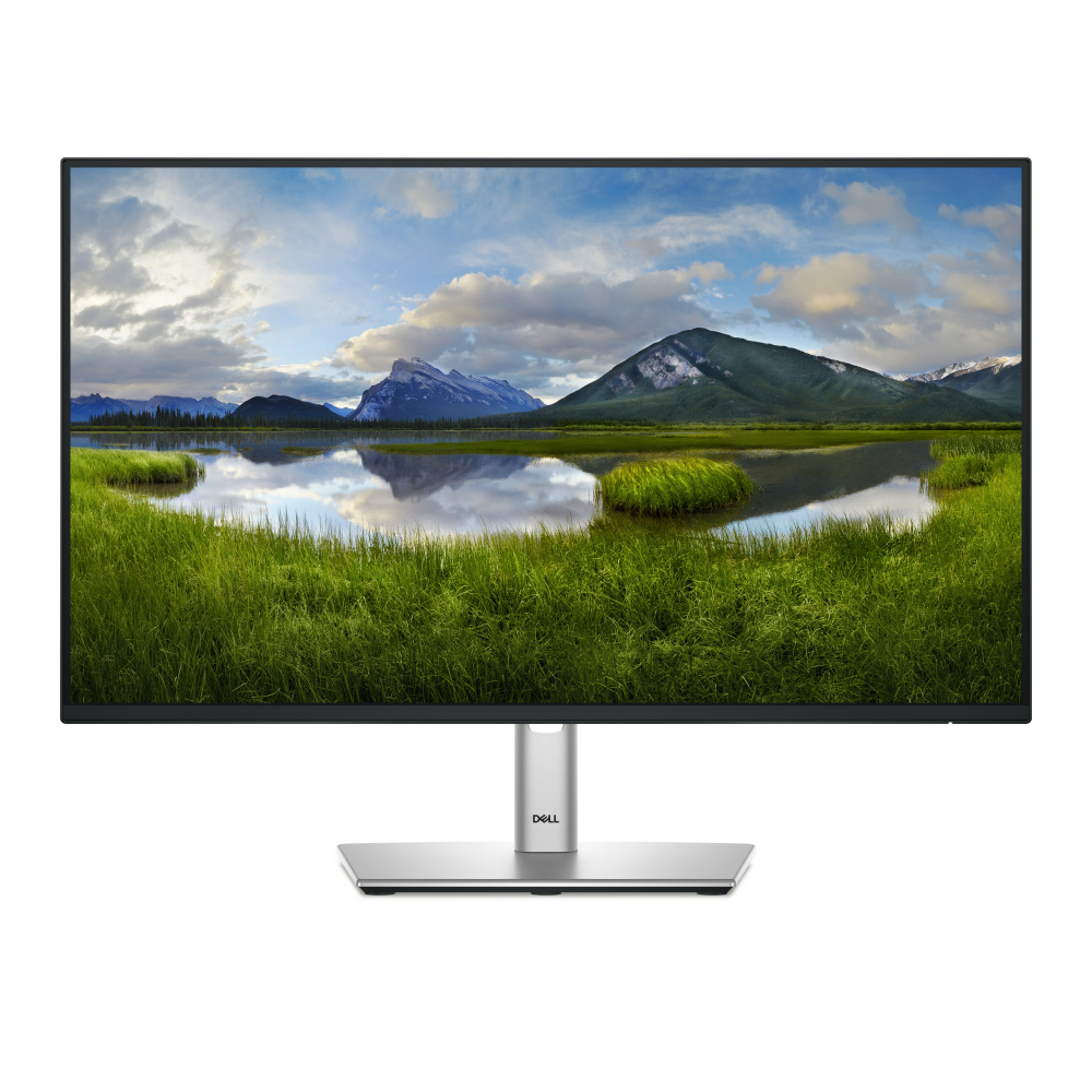 Monitor Dell P2425H LCD 24", 1920x1080 Full HD, 100Hz, HDMI/DisplayPort, Negro